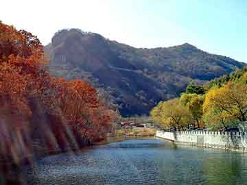 澳门今晚一肖必中特，两生花祭